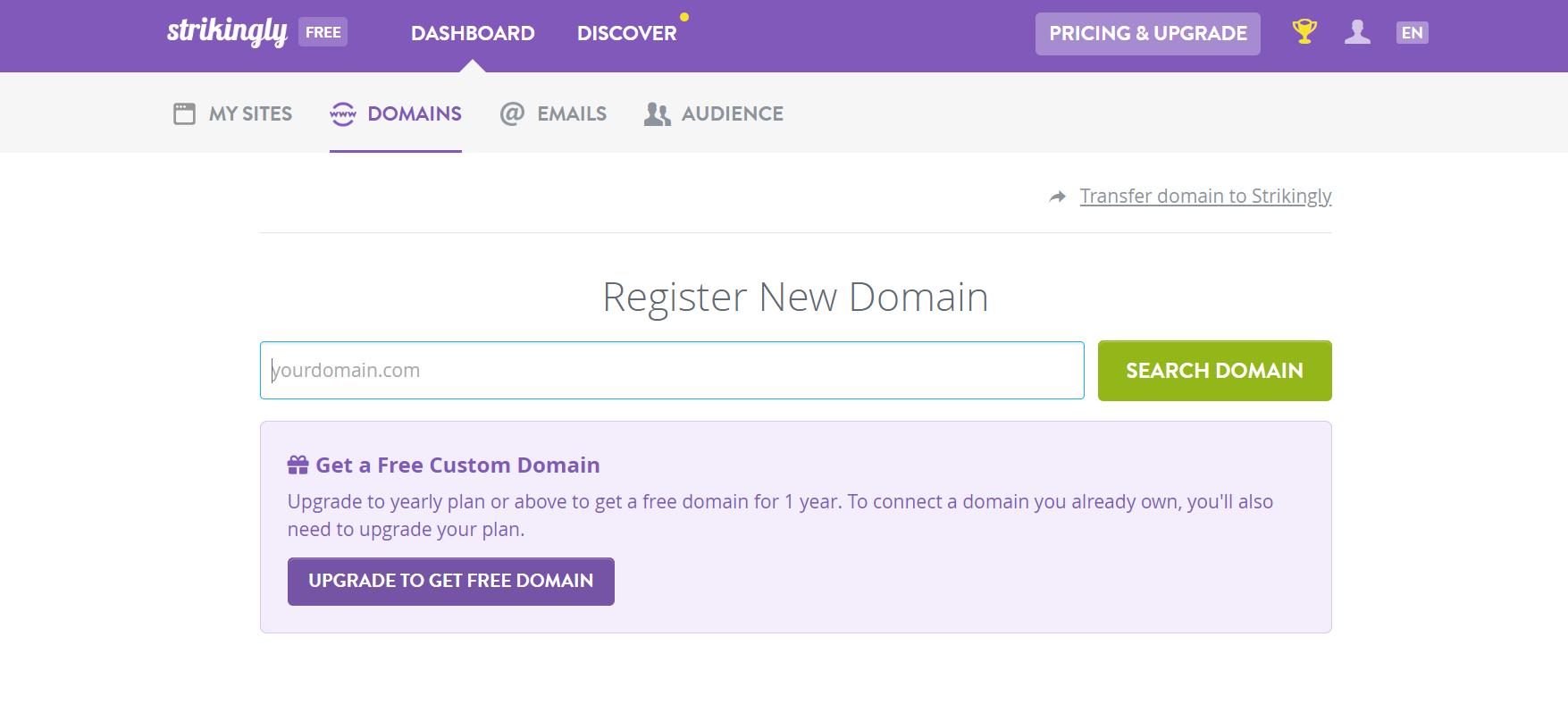 Strikingly Domain Name Features